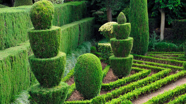 Illustration for article titled Sorry, Horny Boys, But These 7 Curvaceous Topiaries Are Pretty Much The Sexiest Thing We Can Get Through Your Middle School’s Content Filters
